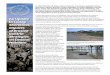 In 2010, the Atlantic States Marine Fisheries Commission ......In 2010, the Atlantic States Marine Fisheries Commission published Living Shorelines: Impacts of Erosion Control Strategies