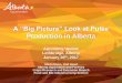 A “Big Picture” Look at PulseDepartment/deptdocs... · • CDCS (Brooks) - Manjula Bandara, Art Kruger, Kathie Davidson, Don Elmer • AF (Lacombe) - Robyne Bowness, Trina Dubitz