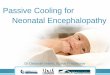 Passive Cooling for Neonatal Encephalopathy · 2014-07-10 · Khurshid, F., et al., Lessons learned during implementation of therapeutic hypothermia for neonatal hypoxic ischemic