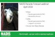 NADIS Parasite Forecast webinar: April 2019webinars.nadis.org.uk/media/48399/nadis_april_2019_webinar.pdf · Cattle: Parasitic gastroenteritis (1) •Type-II ostertagiosis •Affects