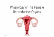 Physiology of The Female Reproductive Organsfac.ksu.edu.sa/sites/default/files/female_reproductive... · 2019-07-11 · Female Reproductive System •Internal Organs (inside the pelvic