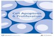 Cell Apoptosis & Proliferation 2017 - Biomol · Apoptosis, or programmed cell death, results in controlled self-destruction. Research in and around apoptosis has increased substantially