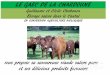 LE GAEC DE LA CHARDOUNE · LE GAEC DE LA CHARDOUNE Guillaume et Cécile Chabanon Elevage salers dans le Cantal EN CONVERSION AGRICULTURE BIOLOGIQUE vous propose sa savoureuse viande