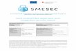 D4.9 Overall Pilot alignment and integration process report€¦ · Protecting Small and Medium-sized Enterprises digital technology through an innovative cyber-SECurity framework