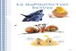 Que sais-je sur la reproduction - Les p'tits mineurs de ...ec.pont.pean.free.fr/wa_files/reproduction_sexueeCM2.pdf · Comment les animaux se reproduisent-ils ? Les animaux se reproduisent-ils