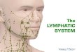 The LYMPHATIC SYSTEM - WordPress.com · 2017-05-12 · The lymphatic system includes a series of nodes, ducts, and vessels that works closely with the circulatory system and supports