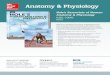 Anatomy & Physiology - Amazon S3s3.amazonaws.com/ecommerce-prod.mheducation.com/unitas/... · 2016-01-12 · Anatomy & Physiology Note: 1-year ISBN bundles are available on the AP
