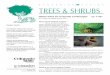 TREES & SHRUBS - Colorado State University · 2017-11-10 · The Plains life zone, 3,500 to 5,500 feet, is located in eastern Colorado where the majority of Colorado’s population