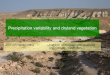 Precipitation variability and dryland vegetation · 2016-01-14 · Precipitation variability and dryland vegetation Jost von Hardenberg Institute of Atmospheric Sciences and Climate