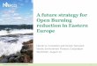A future strategy for Open Burning reduction in Eastern Europe/Menu... · Nordic Environment Finance Corporation Stockholm, August 14 1 . Agenda • NEFCO introduction • BC emissions