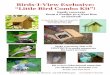 “Little Bird Combo Kit”! · Feeder and Nest Box! Designed by Steve Garr and available exclusively at Birds-I-View Birds-I-View Jefferson City, Missouri 573-638-BIRD(2473) . Author: