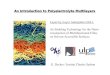 Layer-by-Layer Adsorption (LbL): An Enabling Technology ... summer... · Multilayer Thin Films: Sequential Assembly of Nanocomposite Materials; Decher, G. and Schlenoff, J. B., eds.,