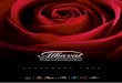 Producers of Exceptional Roses€¦ · SPRAY ROSES • КУСТОВЫЕ РОЗЫ • 多头玫瑰 . 1 WHITE • БЕЛЫЙ • 白 AKITO..... 35 6,35 cm 12 - 14 40 - 60 cm PLAYA BLANCA