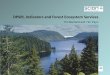 DPSIR, Indicators and Forest Ecosystem Services · Ecosystem Services Forest Management Natural Capital. Soil property degradation or enhancement ... Perceived imbalances in supply