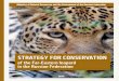 STRATEGY FOR CONSERVATION · STRATEGY FOR CONSERVATION OF THE FAR-EASTERN LEOPARD IN THE RUSSIAN FEDERATION | 5 The Far-Eastern leopard (Panthera pardus orientalis) is the rarest