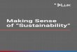 Making Sense of “Sustainability” Sustainability...questions@luxresearchinc.com Making Sense of “Sustainability” 3 • Use Fewer Resources: Cutting down on resource inputs,