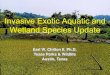 Invasive Exotic Aquatic and Wetland Species Update...2013/03/12  · Invasive Exotic Aquatic and Wetland Species Update Zebra Mussels in Texas U.S. Distribution Over Time Two confirmed