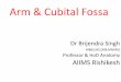 BRACHIUM & CUBITAL FOSSA - AIIMS RISHIKESHaiimsrishikesh.edu.in/.../779_arm__cubital_fossa_output.pdfCubital fossa Roof: •Skin •Superficial fascia containing: cephalic vein, lateral