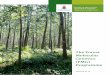The Forest Molecular (FMG) Programme Brochure... · 2017-03-04 · The Forest Molecular Genetics Programme 9 Population Genomics and Molecular Breeding Team 2015 develop predictive