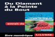 Martinique - Du Diamant à la Pointe du Bout · 2018-04-13 · Bakoua et le Carayou, mais il n’a rien d’autre à envier à ses riches voisins. Emplacement avantageux, amé-nagement