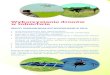 Wykorzystanie dron£³w w rolnictwie - Strona g¥â€£³ 2019-01-17¢  Wykorzystanie dron£³w w rolnictwie OblOty