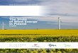 Polskie Stowarzyszenie Energetyki Wiatrowej Stan ...psew.pl/.../Stan-energetyki-wiatrowej-w-Polsce-w-2016-r.pdfenergetyki wiatrowej. Nadal bije ona bowiem rekordy popularno-ści –