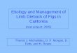 Etiology and Management of Limb Dieback of Figs in California · 2008-01-07 · Figs (Ficus spp.) Branch wilt Citrus Branch wilt Walnut Branch wilt Hosts of Nattrassia mangiferae
