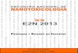 >> E2N 2013 · A nanotenologia irá permitir o desenvolvimento de novos materiais e produtos com diferentes propriedades, tais como componentes nanoelectrónicos, novos tipos de medicina,