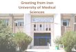 occupational therapists clinical reasoning: A …...Dr Narges Shafaroudi, Occupational therapy Assistant Professor School of Rehabilitation Sciences Iran University of Medical Sciences