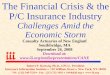 The Financial Crisis & the P/C Insurance Industry · The Financial Crisis & the P/C Insurance Industry Challenges Amid the Economic Storm Robert P. Hartwig, Ph.D., CPCU, President