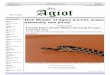 Tel: (0030) 26610 58177 Agiot · 2015-04-01 · It's also unusual in that the whip snake managed to exit from the dead snake's mouth, given snakes generally swallow their prey head