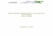 Dél-alföldi Regionális Innovációs Stratégia 2011-2020...Dél-alföldi Regionális Innovációs Stratégia 2011-2020 4 1. Vezet ıi összefoglaló A jelen dokumentum a Dél-alföldi