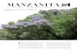 Ceanothus Diversity in California · diversity of form and ecology. Ceanothus contains 53 species of evergreen or deciduous shrubs and small trees, all restricted to North America