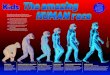 PROCONSUL AUSTRALOPITHECUS AFARENSIS HOMO HABILIS … · Australopithecus afarensis are one of the early hominids and had bulging skulls and small brains. They evolved special features
