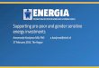 Supporting pro-poor and gender sensitive energy investments...development effectiveness and improve project efficiency •In practice, few mainstream energy projects mainstream gender