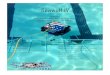 Seawolf IV - MATE ROV Competition · Discussion concerning the material of the frame served as a rudimentary first step in designing Seawolf IV. The company decided upon 12.7 mm High