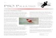 The PSO Pileated · 2017-11-15 · The PSO Pileated December 2008 The Newsletter of the Pennsylvania Society for Ornithology Volume 19, Number 4 From the President’s Desk.... I’m
