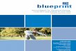 Annual Report for the period starting 1 July 2017 …...Annual Report for the period starting 1 July 2017 and ending 30 June 2018 blueprint Retirement Plan Preparation date: 15 December