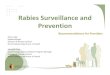 Rabies Surveillance and Prevention Providers Rabies Virus Pathogenesis ¢â‚¬¢ The key to preventing rabies