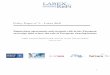Policy Paper n° 6 - Labex Réfiparticipants of the IAE Poitiers - Laboratoire CEREGE colloquium `IFRS Bâle Solvency: Impacts des contraintes comptables et réglementaires sur les