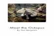 Meet the Octopus - Amplify...s biggest octopus. It lives in the Pacific Ocean. Other kinds of octopuses live in other oceans, like the Atlantic or the Indian. Octopuses live in small