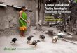 A Guide to Backyard Poultry Farming for Sustainable ...idc.icrisat.org/idc/wp-content/uploads/2020/02/Final-Backyard-Poultr… · inexpensive and rich source of protein and energy