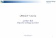 CMSSW Tutorial - Imperial College Londondbauer/cms/tutorial_2011.pdf · GPG 0x324543E5 1 CMSSW Tutorial Gordon Ball Imperial College London. gordon.ball@cern.ch GPG 0x324543E5 2 Summary