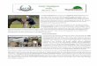 Daily Highlights - Progressive Show Jumping · 2015-03-06 · Daily Highlights FridayFriday March 6March 6, 2015, 2015 The March Madness II continued at Highfields Event Center drying