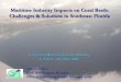 Maritime Industry Impacts on Coral Reefs: Challenges ......Miami-Dade, Broward, Palm Beach and Martin Counties) contains reefs that: are extensive are close to shore co-exist with