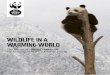 WILDLIFE IN A WARMING WORLD · developing world – are already counting the cost. In some areas, food security is diminishing, water resources dwindling and there have been increases