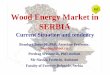 Wood Energy Market in SERBIA · years produces stove on pellets which sells on Italian market very successful, and in june 2008 was presentation for Serbian market. Price of this