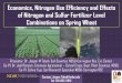 Economics, Nitrogen Use Efficiency and Effects of Nitrogen and … · Economics, Nitrogen Use Efficiency and Effects of Nitrogen and Sulfur Fertilizer Level Combinations on Spring
