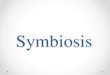 PowerPoint Presentation - Symbiosis notes... · Symbiosis What it means: •Two organisms that live together •Temporarily or for a longer time •At least one of the organisms benefits