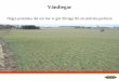 Example development projects - Vaderstad · 2020-03-24 · Example development projects Author: Magnus Samuelsson Created Date: 3/24/2020 3:59:59 PM 
